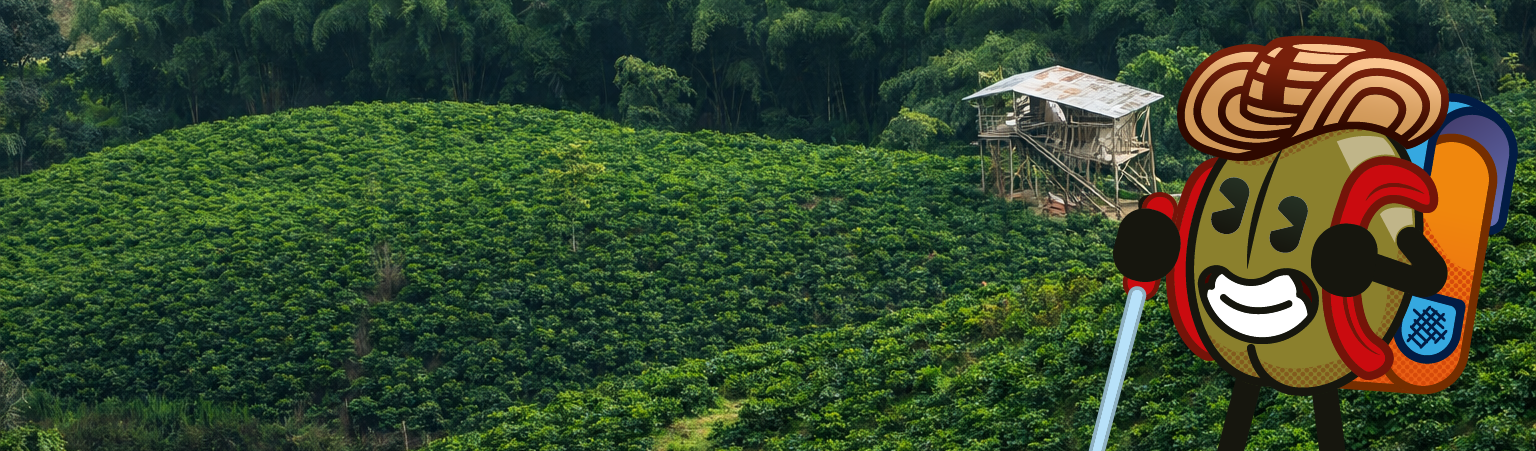 Cafetal colombiano