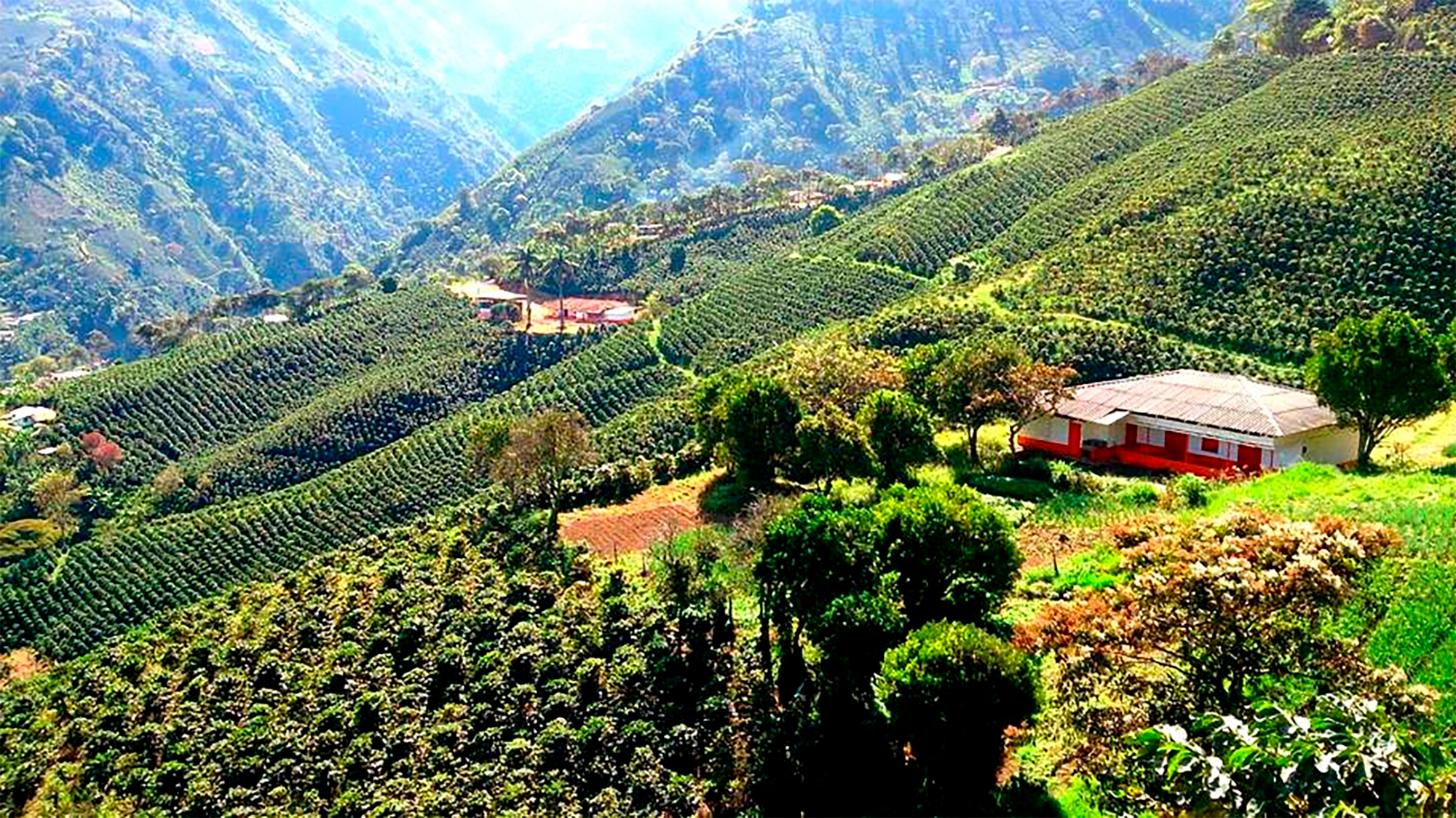 Antioquia