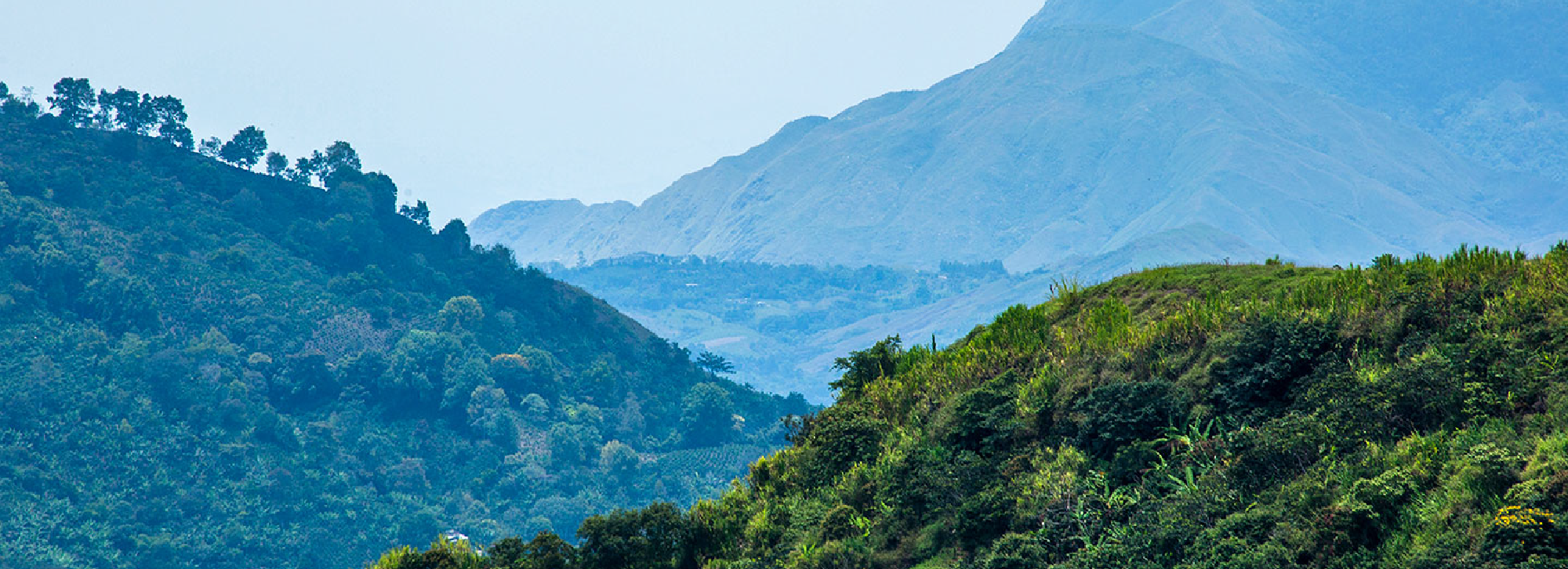 Nariño