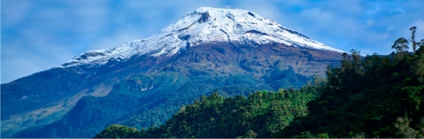 Tolima